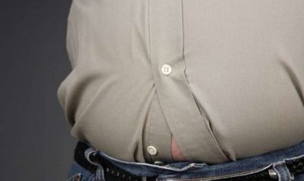 【Animal Experiment】-The legendary \"perfect weight-loss drug\" completed the experiment