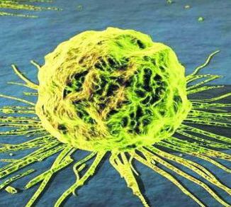 Is there any way to stifle cancer growth?